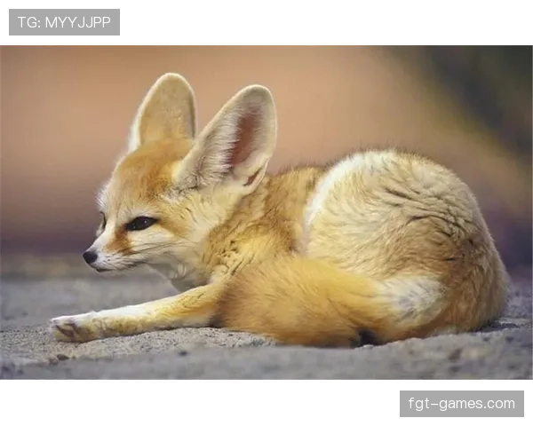 阿尔及利亚“沙漠之狐”状态回暖，传奇人物再引热议